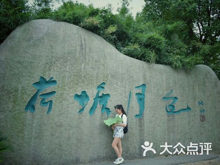 荷塘月色湿地公园-图片-苏州周边游-大众点评网