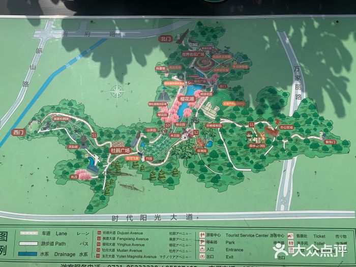 湖南省森林植物园图片