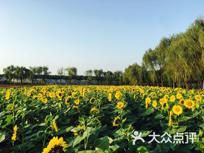 麒麟湾景区-图片-泰州周边游-大众点评网