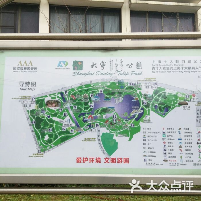 大宁郁金香公园