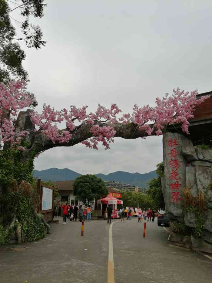 垫江牡丹樱花世界旅游景区-"重庆第一站垫江牡丹樱花世界哈喽宝宝们,.