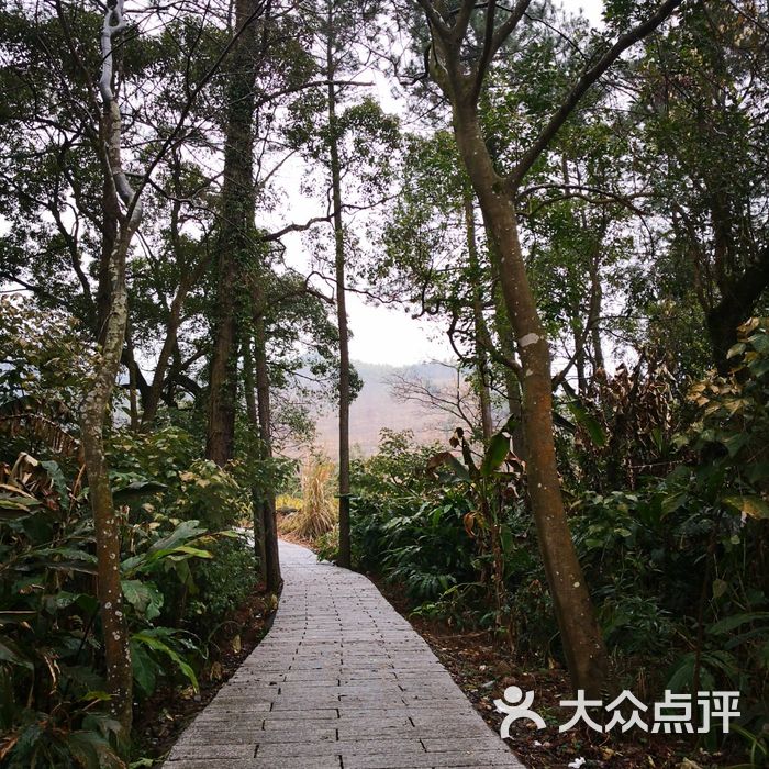 福州灵石山国家森林公园