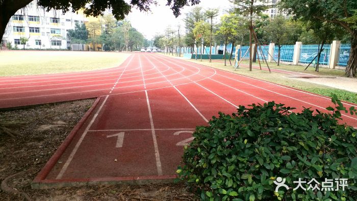 中山市西区中心小学图片