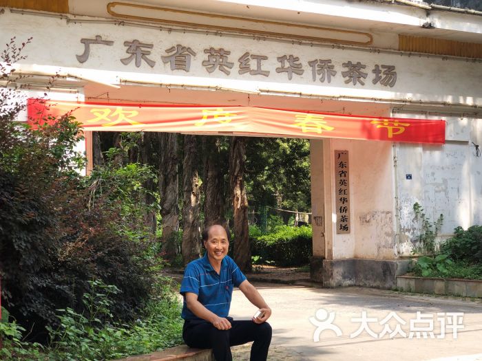 广东省英红华侨茶场-图片-英德市休闲娱乐-大众点评网