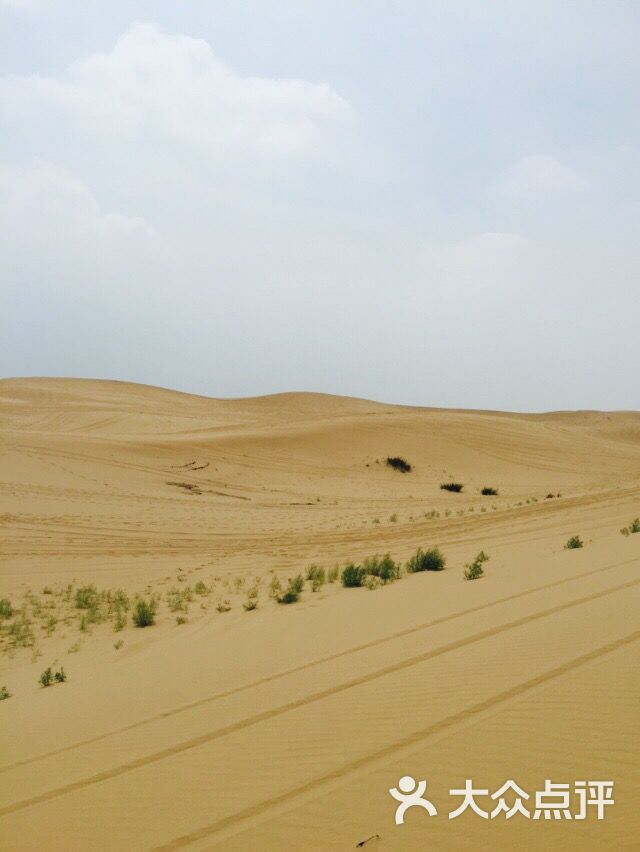 塔敏查干沙漠旅游景区