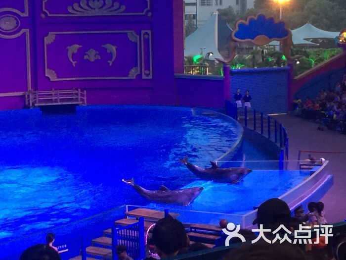 横店梦幻谷:规模小,娱乐项目钱少,表演极其.横店