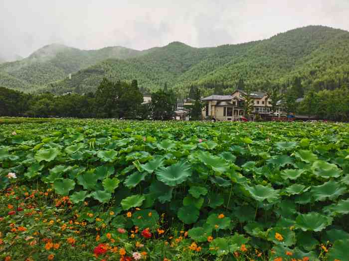 安吉余村两山景区-"位置:安吉余村景区位于安吉县天荒