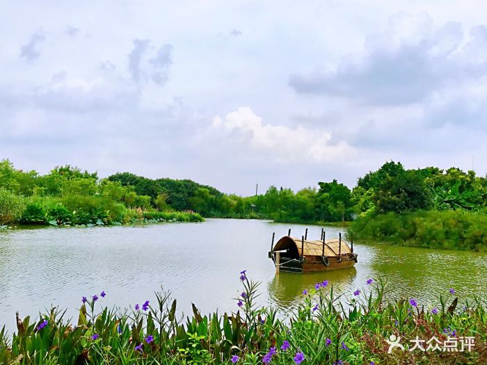 海珠国家湿地公园图片 - 第191张