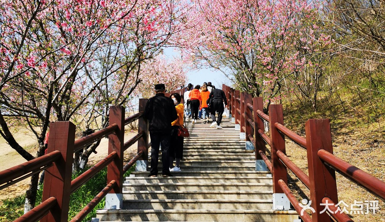 木渎寿桃湖免费景区