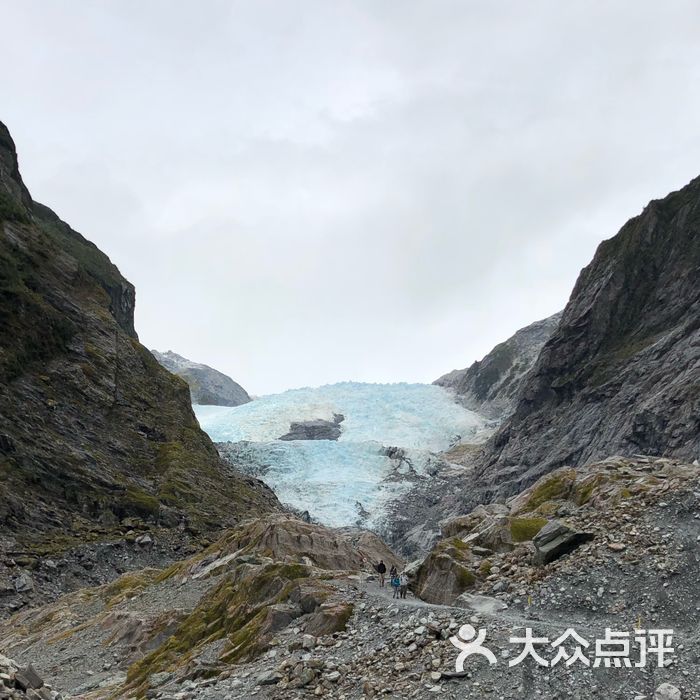 fox glacier hiking trails