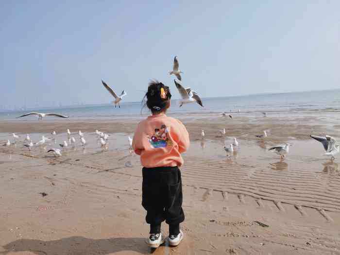 西浴场-"秦皇岛西浴场是完全免费的这里沙子很细,.