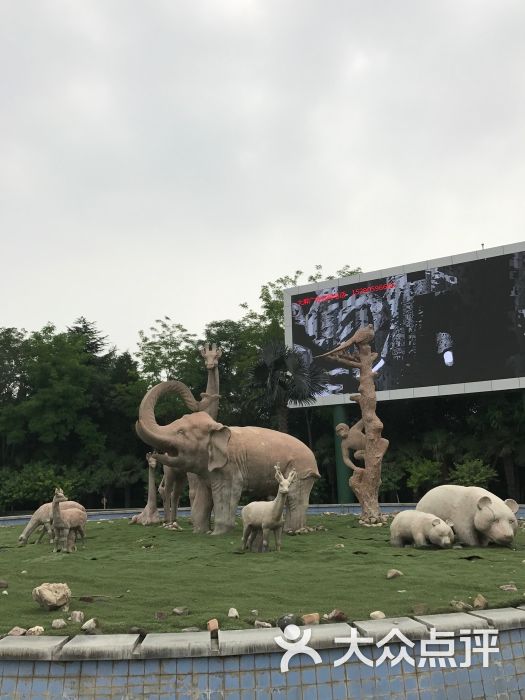 郑州动物园图片 - 第7张