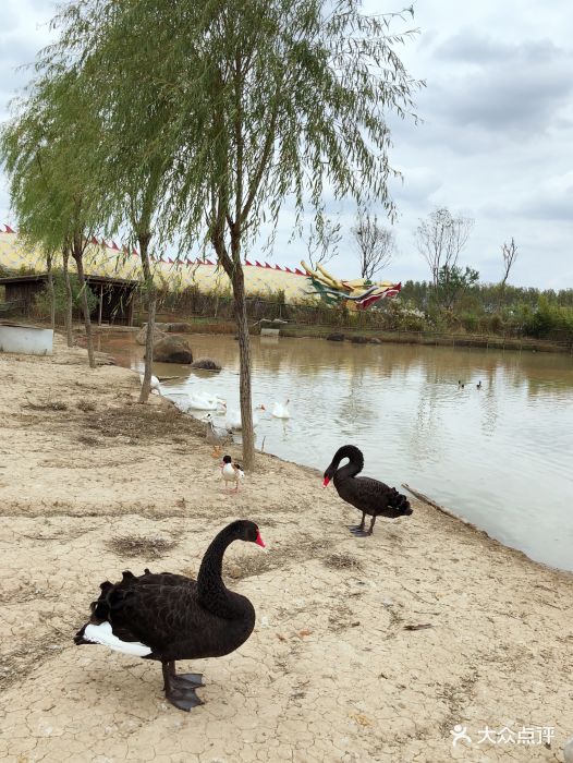 跟着单位一起来的只有下午半天时间算是.-巴