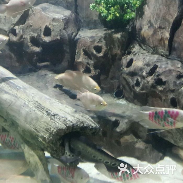 保定生态园海洋馆