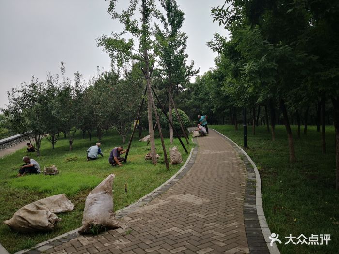 望和公园-图片-北京景点/周边游-大众点评网