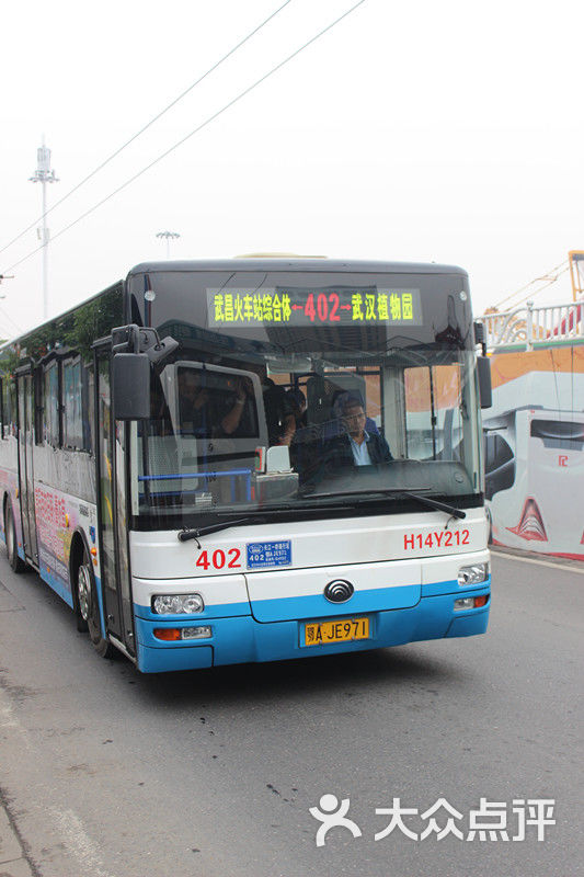 公交车(402路)-图片-武汉生活服务-大众点评网