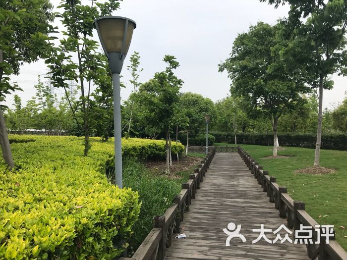 康桥生态园沔青绿地图片 - 第11张