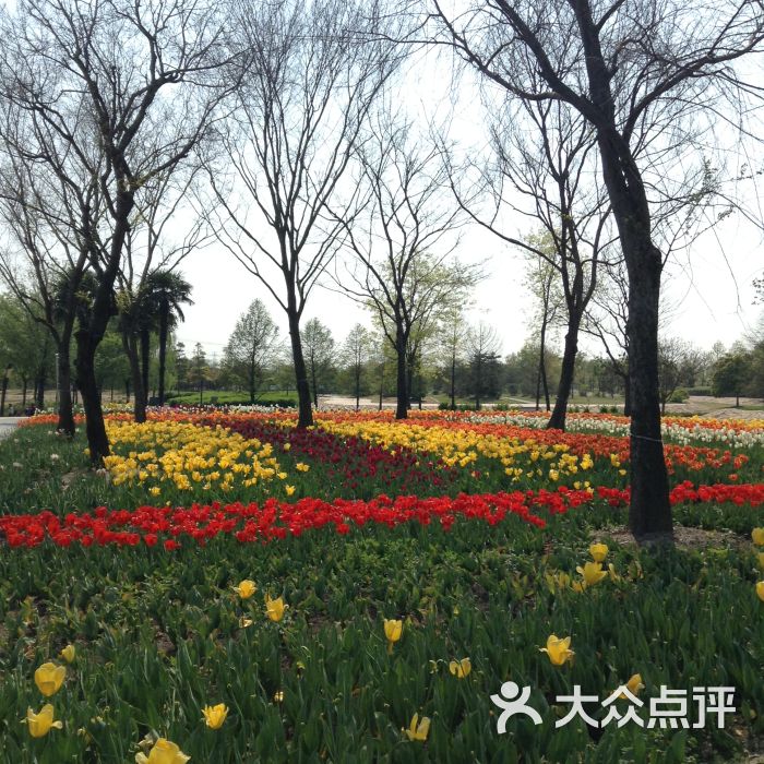 辰山植物园景点图片 - 第264张