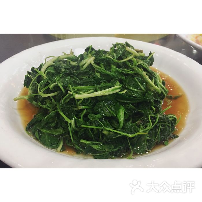 金陵三草 healam_soul healam_soul