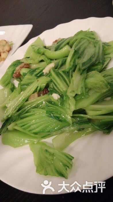 假品水冬芥菜,与本地普通的一样