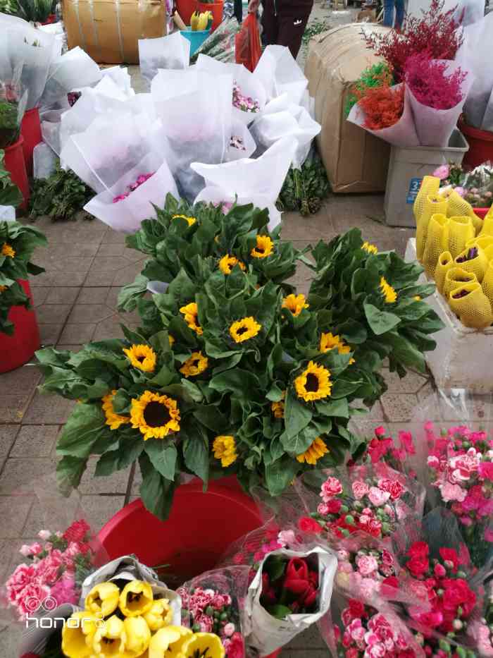西三教花卉市场-"位于石铜路南二环交叉口,比较好找,来这里.