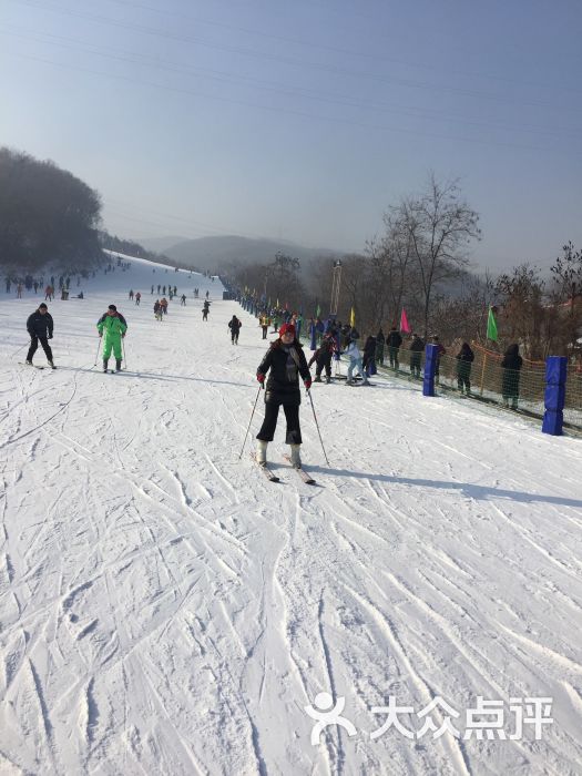 东风湖滑雪场-图片-本溪周边游-大众点评网