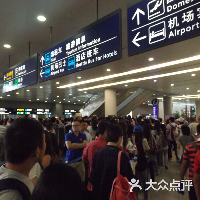浦东国际机场2014 费德勒 接机图片-北京飞机场-大众