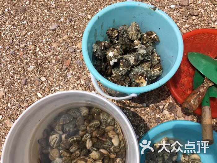 红岛休闲渔村图片 - 第9张