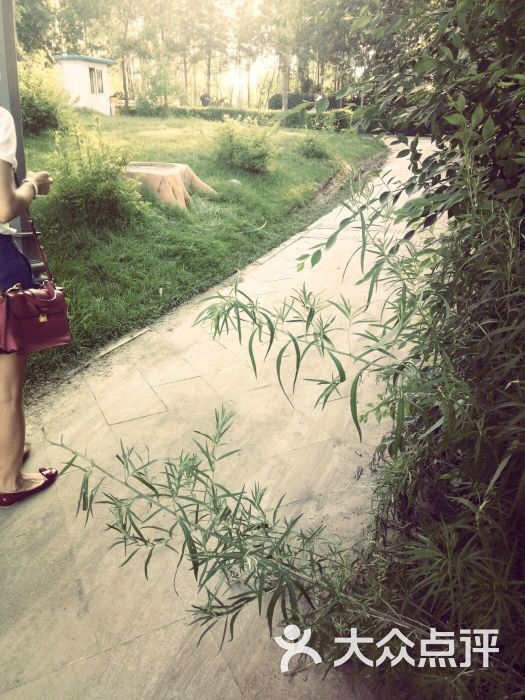 亚泰国际俱乐部-图片-长春运动健身-大众点评网