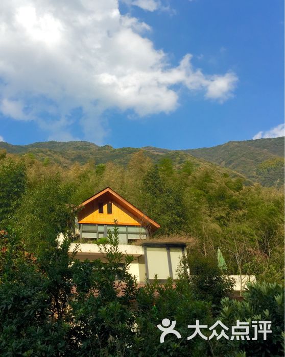 石舍香樟营地民宿-图片-桐庐县酒店-大众点评网