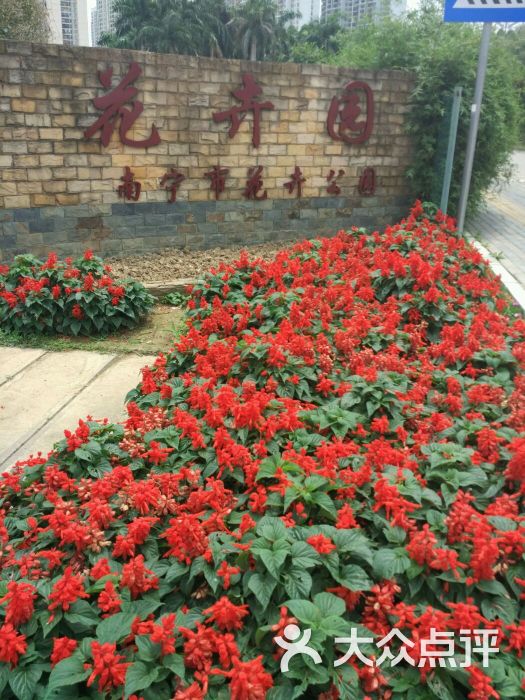 南宁市花卉公园图片 第12张