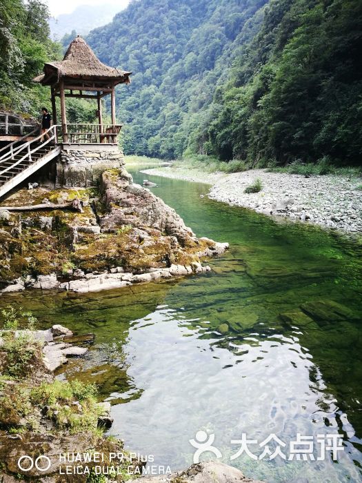 阳坝自然风景区图片 - 第11张