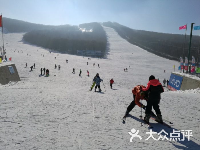 帽儿山哈体院小山滑雪场图片 - 第7张