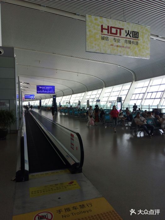 候机厅(合肥新桥国际机场)图片 - 第2张