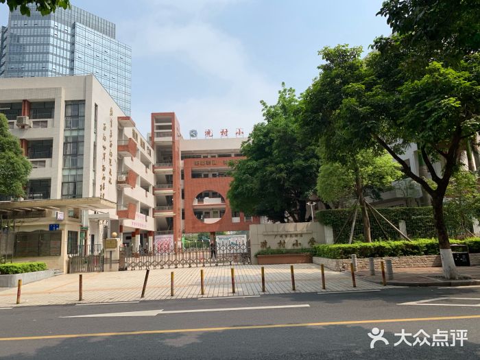 冼村小学图片