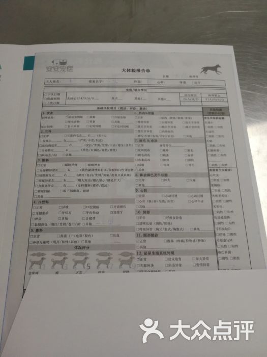安安宠物医院·翌景宠物诊所体检报告(其他检查项)图片 - 第11张