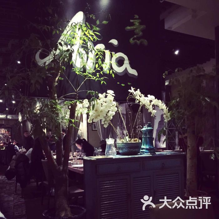 aria意(艾意)餐厅图片 第481张