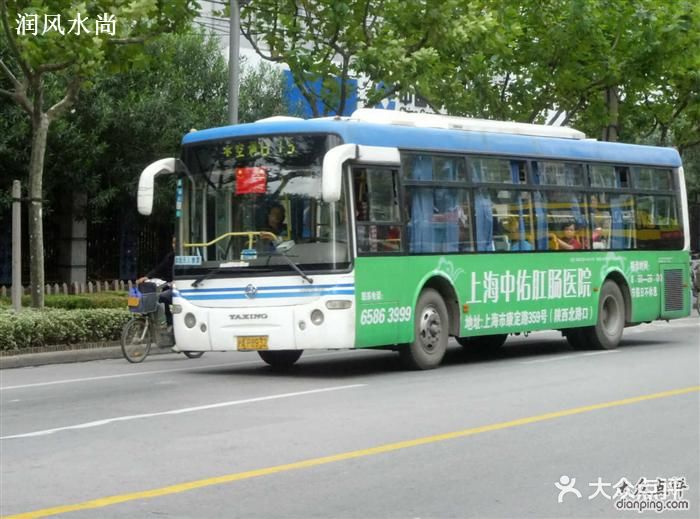公交车(875路)-875路 凉城路图片-上海生活服务-大众