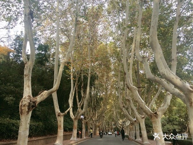 河海大学(西康路校区)图片 - 第31张