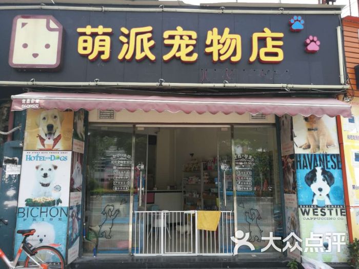 萌派宠物店图片 - 第3张