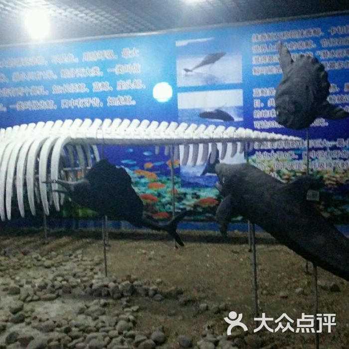 蠡湖中央公园海底世界