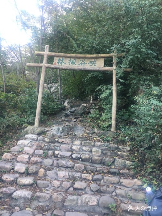 本溪大峡谷图片 - 第2张