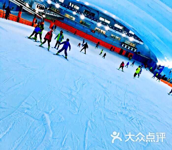 青田乐园室内滑雪场的点评
