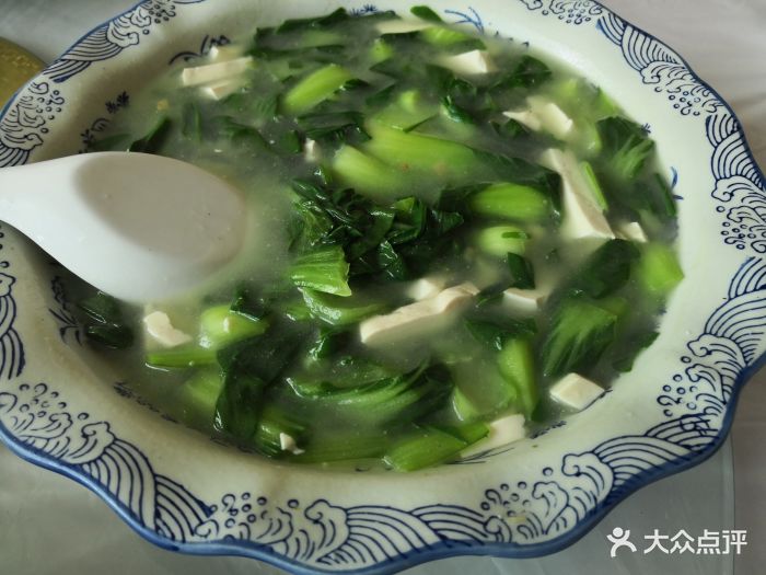 杉树林野菜馆青菜豆腐汤图片