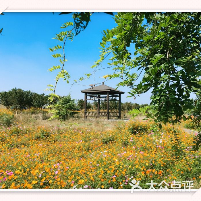 马场山景区