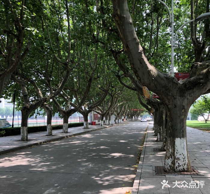 江苏科技大学东校区图片