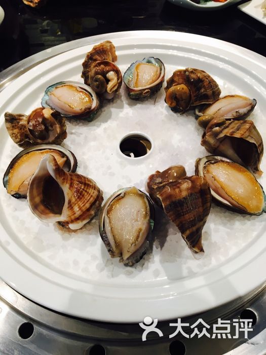 原烹(金虹桥国际中心店)盐烹小红螺(例)图片 - 第1张