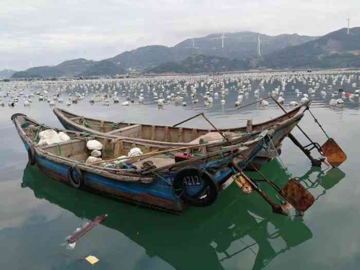 琯头渔政码头-"连江琯头镇渔政码头.新发现的宝藏之地