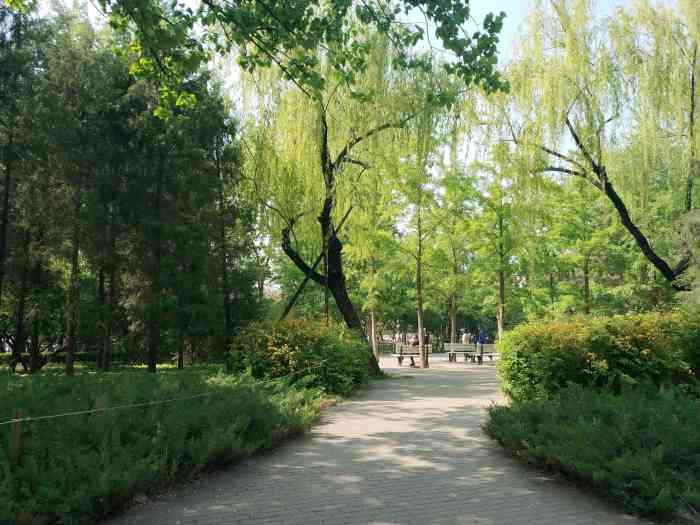 香河园公园-"饭后遛娃的好去处……[鬼脸]修了两年的.