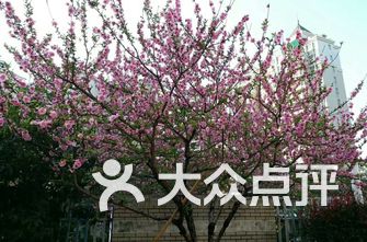 鼓楼小学排名_汉滨区鼓楼小学图片(3)